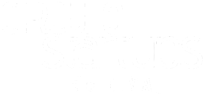 Logo EIVA